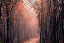 罗马诺：塞斯科将在周五完成体检和签约，周六在主场进行亮相仪式