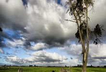 罗马诺：塞斯科将在周五完成体检和签约，周六在主场进行亮相仪式