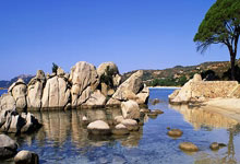 三位美国选手晋级ATP1000赛八强，为2004年之后首次，atp排名第一