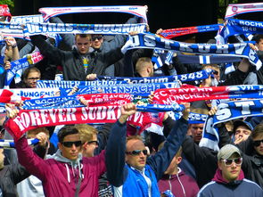 开云体育官网入口-那不勒斯主场大放异彩，球迷欢呼连连